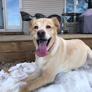 Meet your Posher, Brook